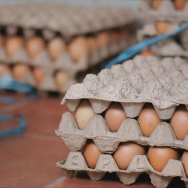 VIDEO: Rise in egg thefts amid nationwide shortage