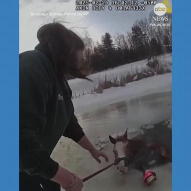 Horse rescued from icy pond in upstate New York