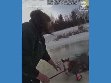 WATCH:  Horse rescued from icy pond in upstate New York