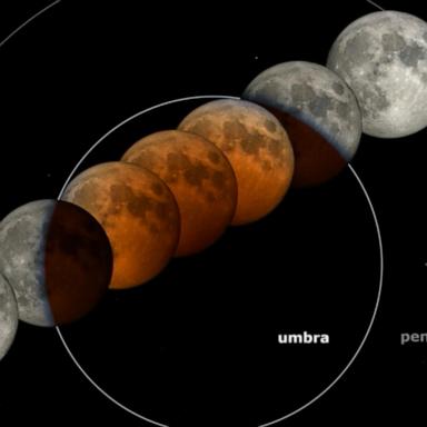 VIDEO: Blood moon set to rise as total lunar eclipse