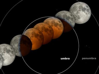 WATCH:  Blood moon set to rise as total lunar eclipse