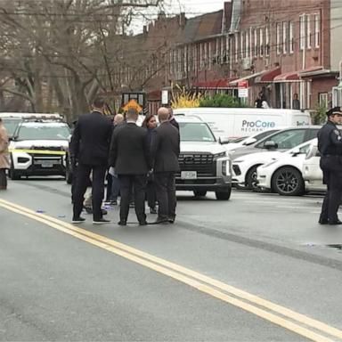 A man wielding a blood-covered meat cleaver was fatally shot by New York City police officers on Sunday after allegedly stabbing four young girls.