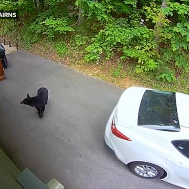 VIDEO: 4.1 magnitude earthquake hits Tennessee