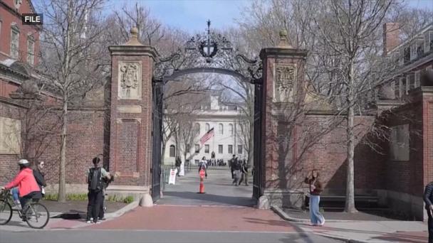Harvard prof. speaks out on administration’s attempt to ban international students