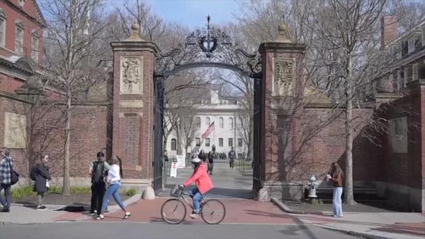 White House directing federal agencies to review contracts with Harvard University