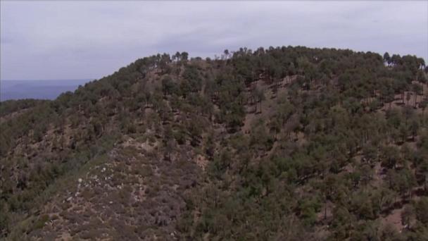 2 Arizona teens found dead in remote area, officials investigating as homicide