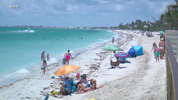 9-year-old girl hospitalized in Florida shark attack
