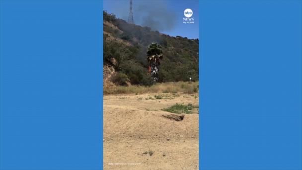 Hikers confront man accused of starting fire on Los Angeles trail