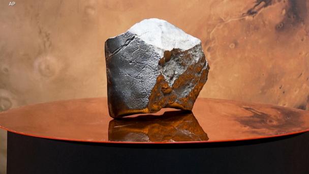 Largest Mars meteorite found on Earth sold for $4.3M at auction