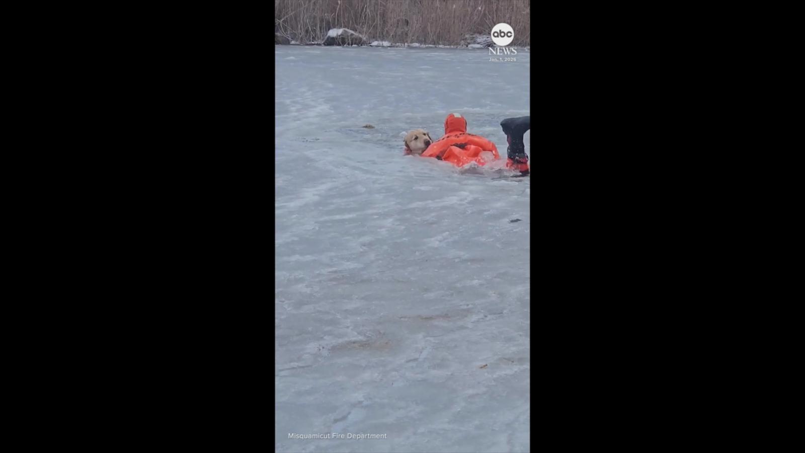 Rhode Island firefighters rescue dog that fell through icy pond - Good ...