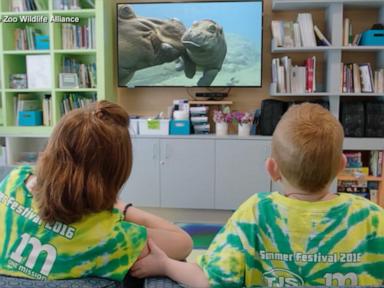 Quantifying Therapeutic Value in Digital Bio-Acoustics The Zoo Stream Infrastructure in Pediatric Care