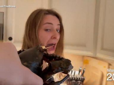 The Lobster Day Economy and the New Science of Manufactured Viral Traditions