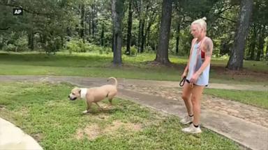 VIDEO: How to keep you and your pets safe in extreme heat