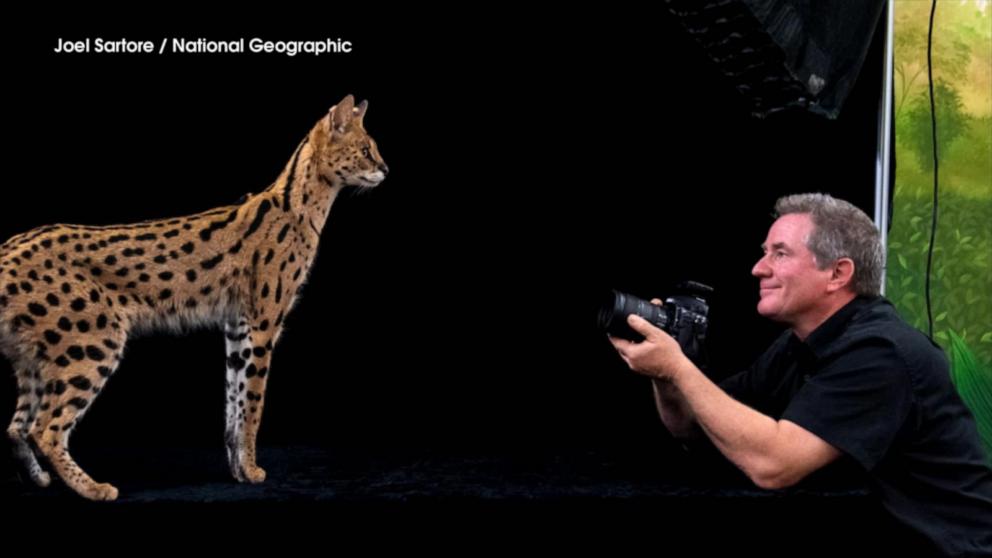Photographer shares close-up of world's most fascinating species