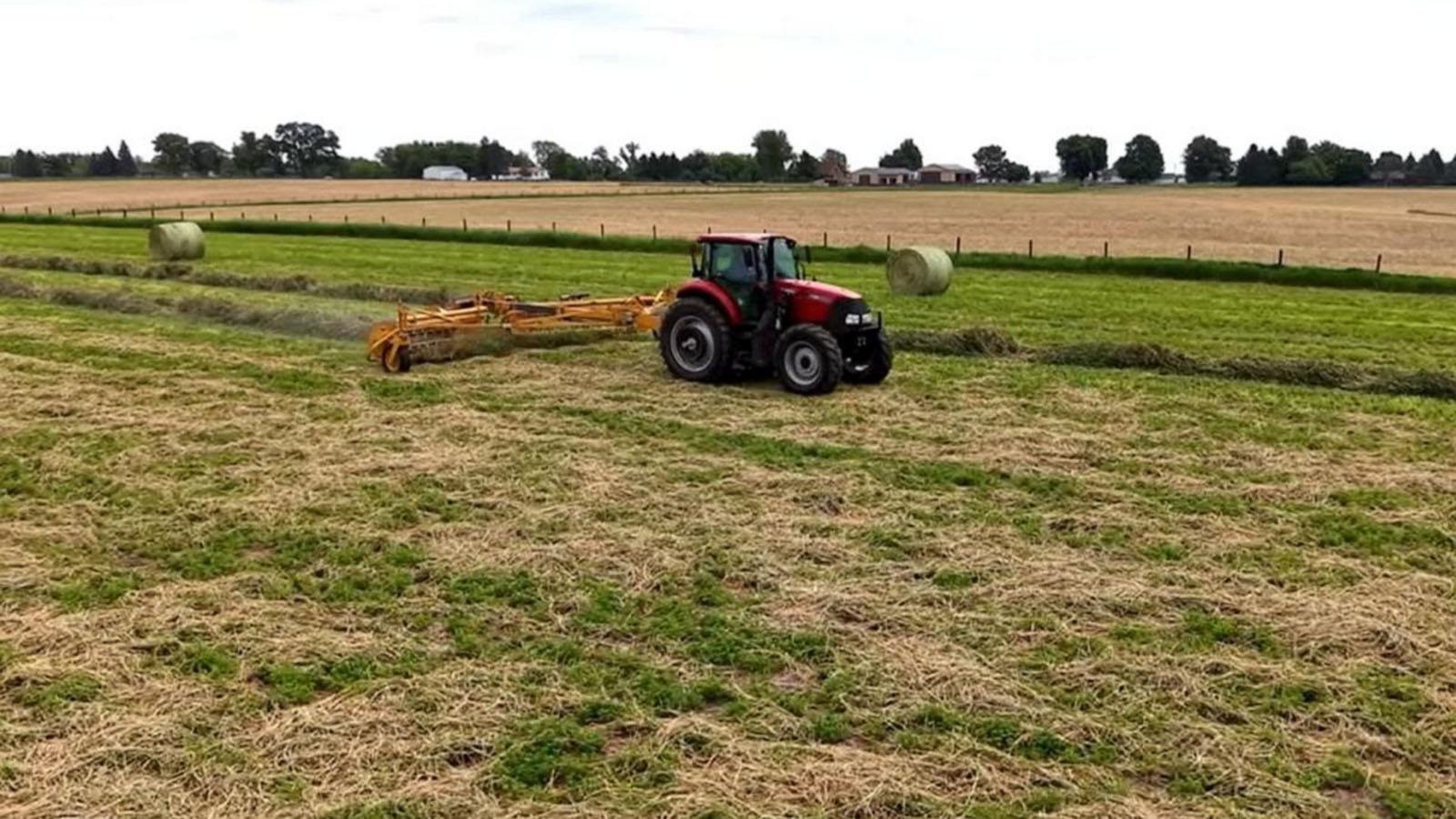 WATCH:  How family-run farms helped build the America we know today