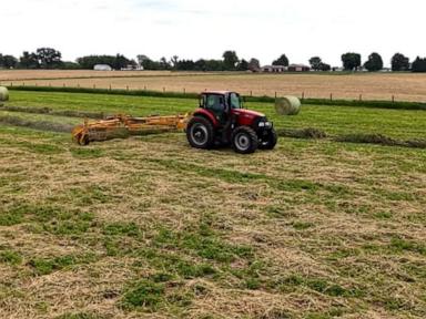 WATCH:  How family-run farms helped build the America we know today