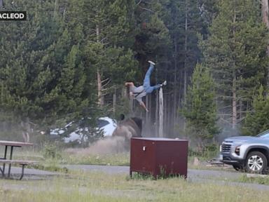 WATCH:  The latest on Yellowstone bison launching man 8 feet in air