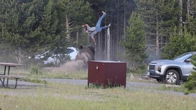 Mike MacLeod captured the moment a tourist visiting Yellowstone National Park was injured after being charged by a bison and tossed in the air.