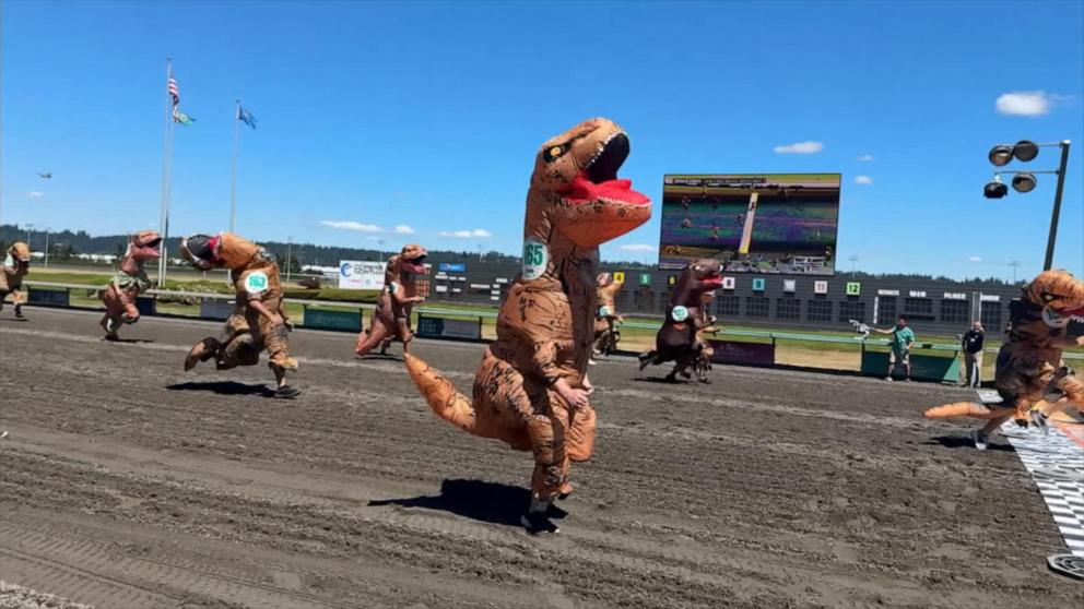 ABC News' Danny New explains the annual event where people travel from all over the U.S. to sprint in an inflatable dinosaur costume and try to win a giant trophy.