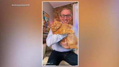 ABC News' Danny New shares the foster journey of Pumpkin, a 25-pound cat who found a forever home.