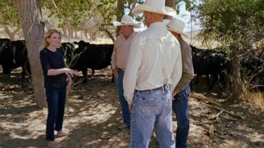 VIDEO: How are Trump's trade policies impacting American ranchers?