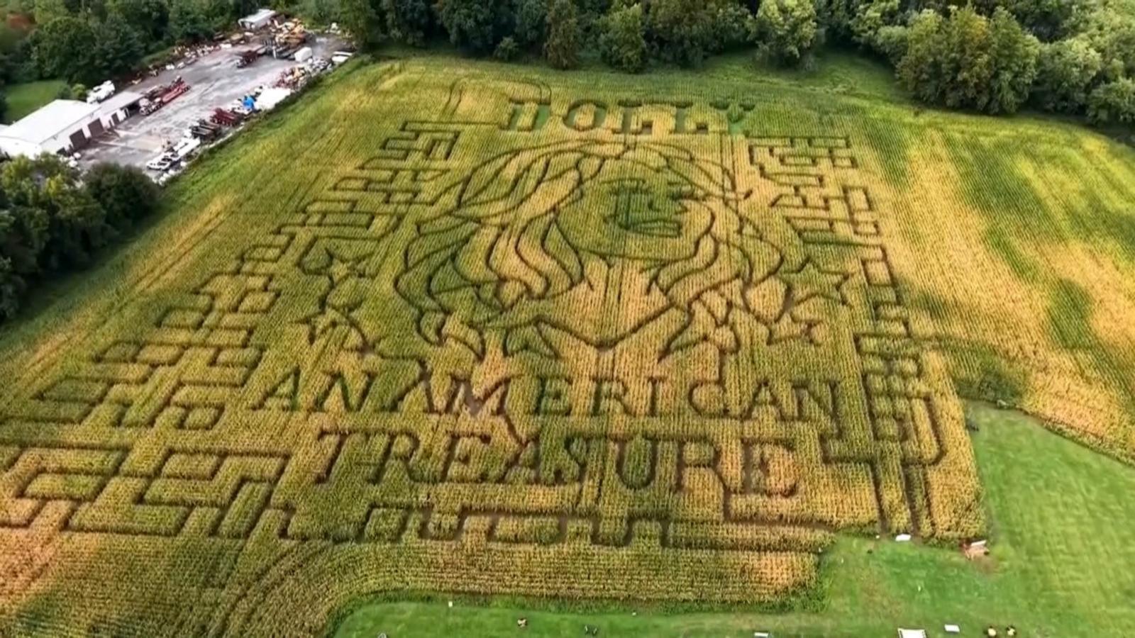 WATCH:  Dolly Parton honored in corn mazes across the US