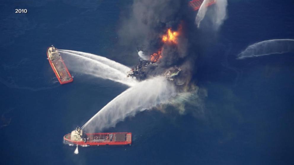 Study: Gulf oil spill's lasting damage to marine life