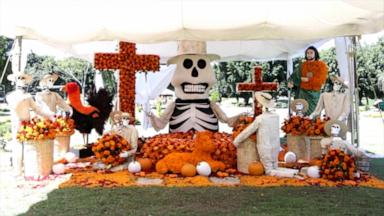 VIDEO: How papel picado honors loved ones during Día de los Muertos