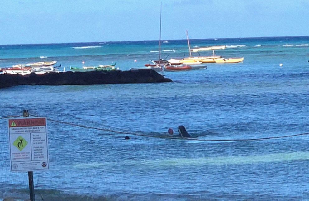 PHOTO: A swimmer had a dangerous encounter with a Hawaiian monk seal and her young pup, in the water off Kaimana Beach, in the Waikiki neighborhood of Honolulu, Hawaii, July 24, 2022.