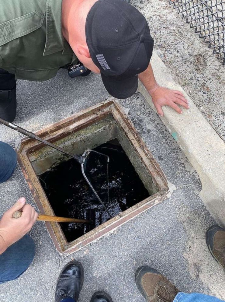 PHOTO: Massachusetts State Trooper Jim Maloney happened to discover eight baby ducklings stuck in the bottom of a storm drain after they somehow separated from the family and fall through a grate in the parking lot of Nahant Beach, northeast of Boston.