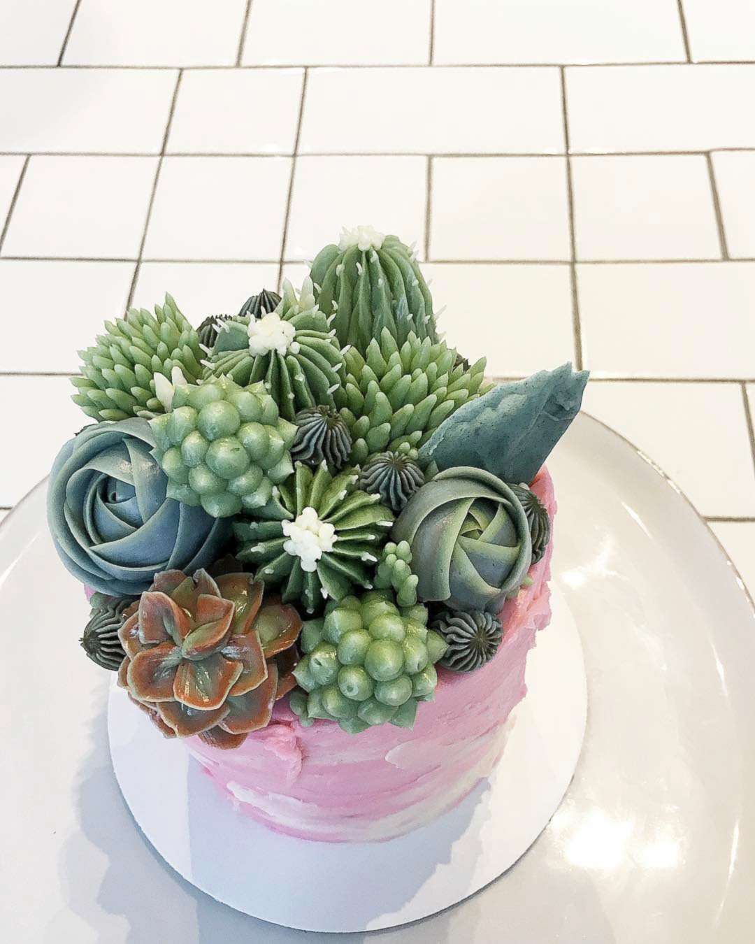 PHOTO: Baker Jiahn Kang makes beautiful cakes that look like succulents.