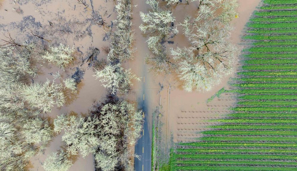 PHOTO: A flooded road in Sebastopol, Calif., Jan. 5, 2023.