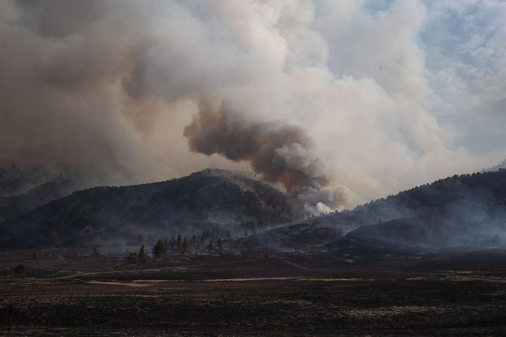 PHOTO: Smoke rises up from the Brattain Fire, as trees burn in Fremont National Forest, in Paisley, Ore., Sept. 18, 2020.