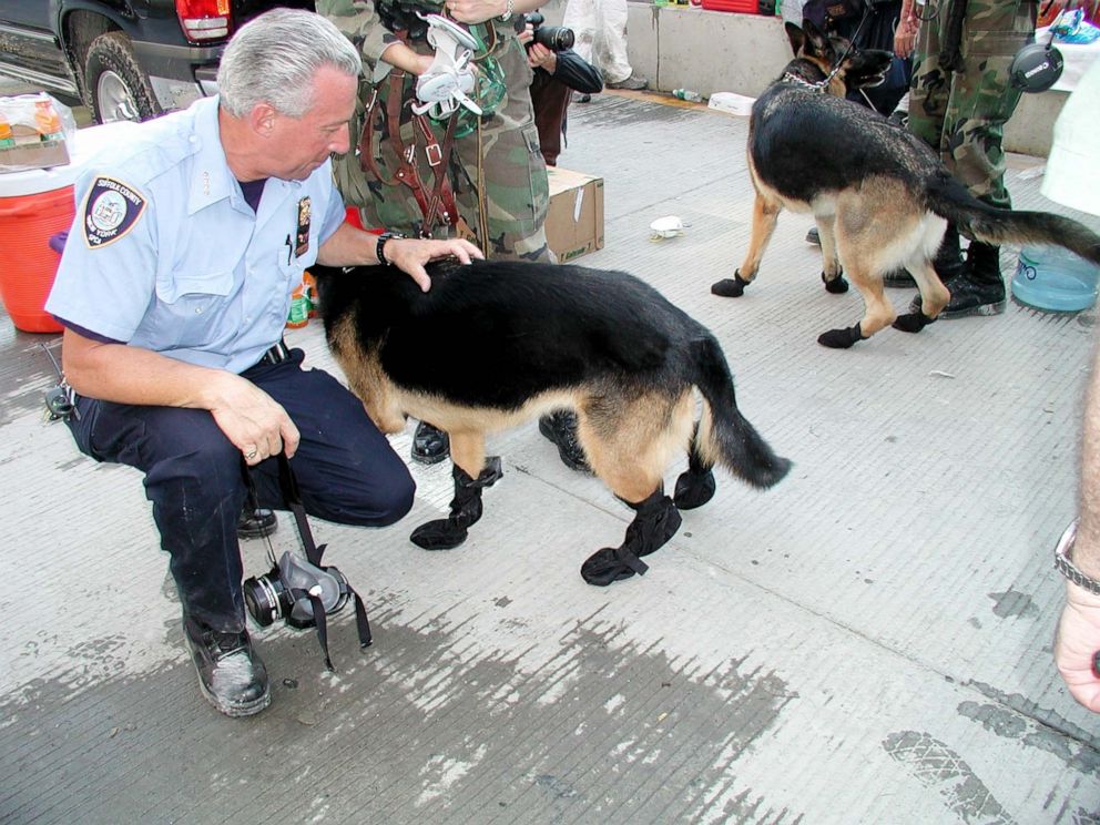 PHOTO: SCSPCA Chief Roy Gross pets a rescue dog.
