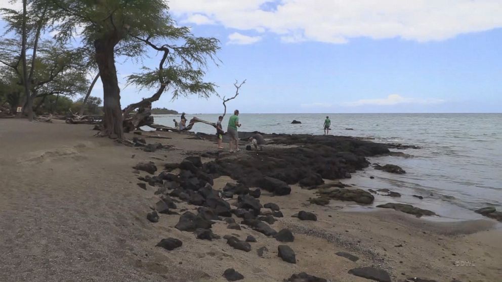 Kimberly Bishop and her husband were kayaking at one of their favorite spots, Anaeho'omalu Bay, when she was attacked and bitten by a shark.