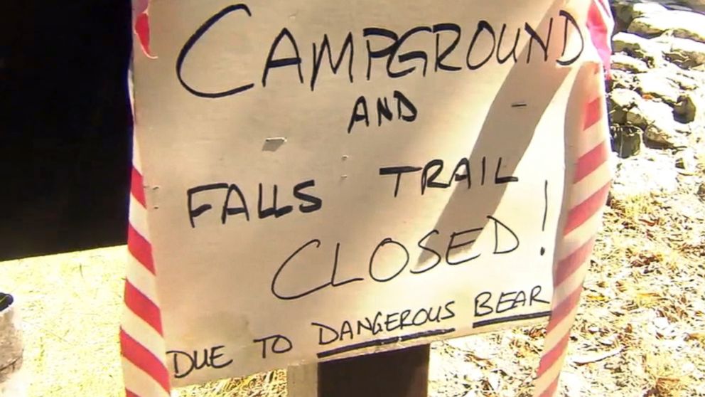 PHOTO: Fish and Wildlife officers are on the hunt in Millard Canyon above Altadena after a camper in his tent was attacked by a bear.  