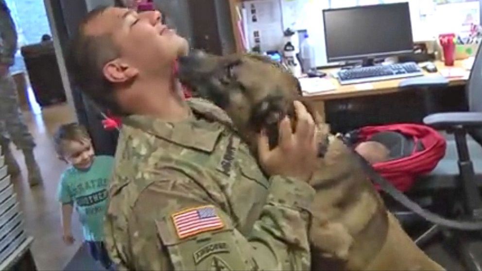 PHOTO: Spc. Andrew Brown was happy to see his partner Rocky when they came together for the first time since their injuries.