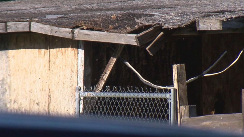 PHOTO: Jerry Mora's heart stopped when he was attacked by a swarm of bees outside his home in Buckeye, Arizona. Emergency personnel were able to "bring him back to life," according to Maricopa County Sheriff's Office spokesman Det. Doug Matteson. 