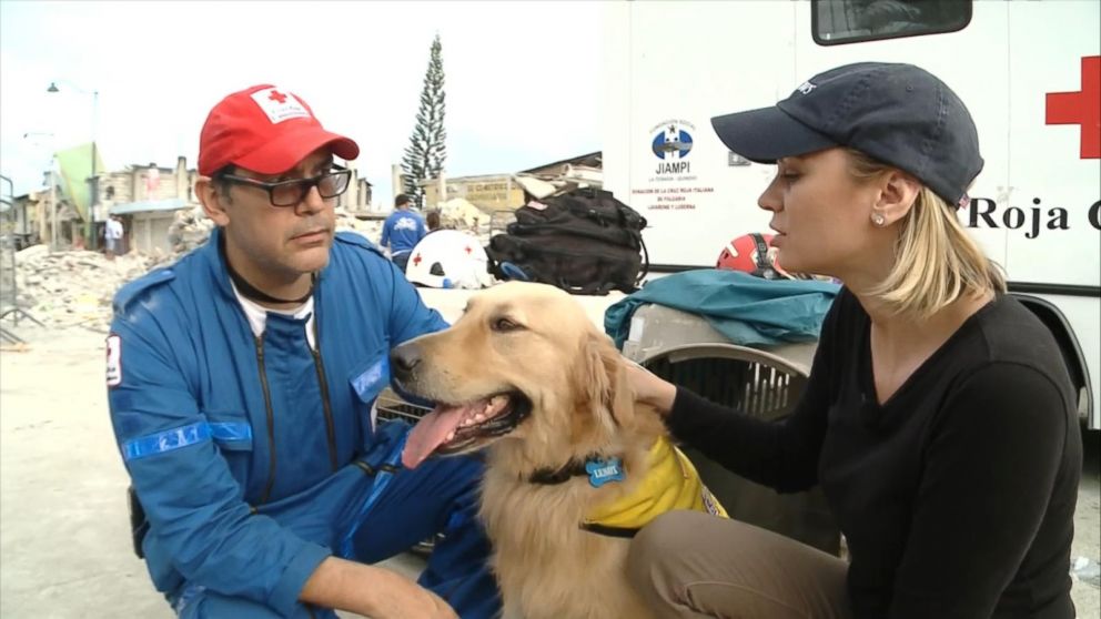 Lenox the golden retriever helps rescue workers search for bodies trapped underneath the rubble in Pedernales, Ecuador following the 7.8 magnitude earthquake. 
