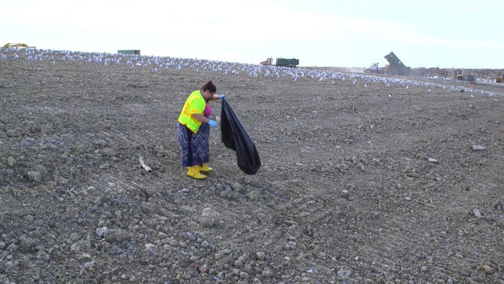 Instead of spending 90 days in jail, Judge Michael Cicconetti gave Alyssa Morrow the  choice of spending eight hours in a dump picking up garbage.