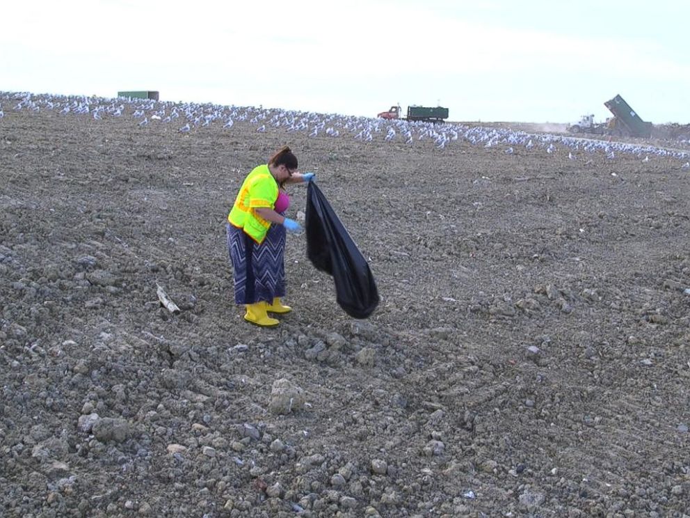 Instead of spending 90 days in jail, Judge Michael Cicconetti gave Alyssa Morrow the choice of spending eight hours in a dump picking up garbage.