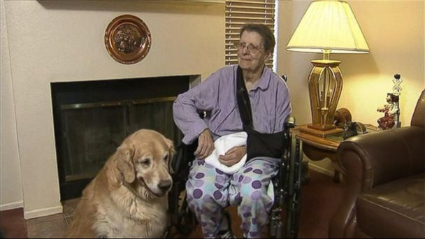 Dogs Save Woman's Life After Near-Fatal Fall - ABC News