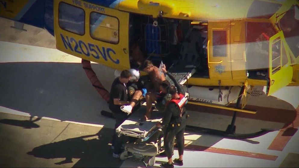 A shark - possibly a hammerhead - attacked a kayaker at a beach, Sept. 5, 2015 in Malibu, Calif., biting his foot as he was trying to get to shore, officials said.