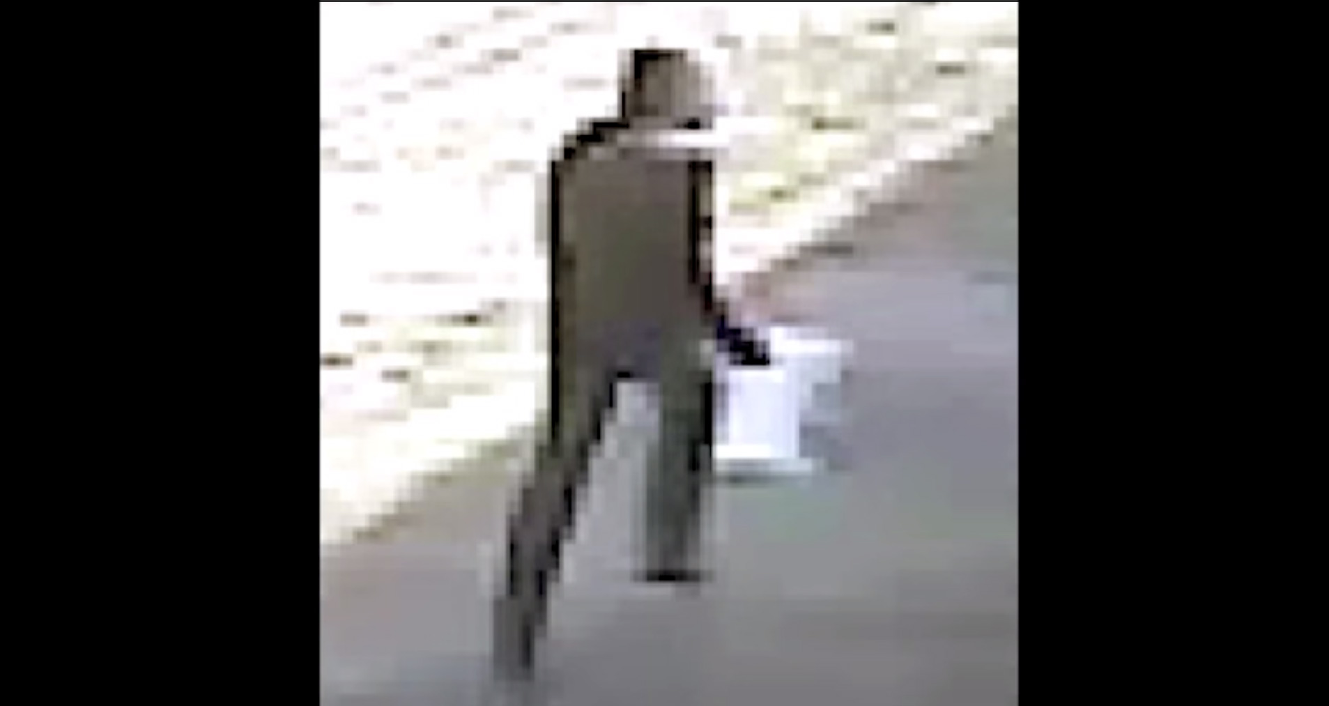PHOTO: A still image from surveillance video shows a person of interest
