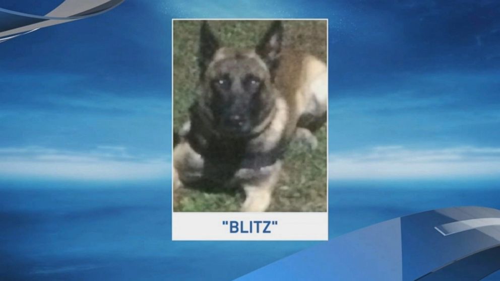 PHOTO: The Montgomery County Sheriff's Office is mourning the loss of K-9 officer Blitz, who was found dead in a hot squad car on July 31, 2016.