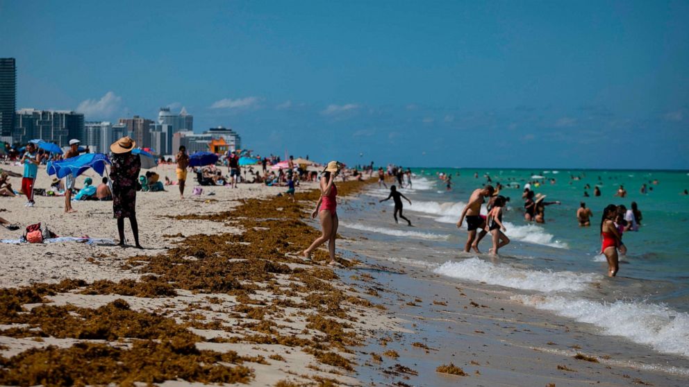 PHOTO: People gather on the beach in Miami Beach, Florida on June 16, 2020. - Florida is reporting record daily totals of new coronavirus cases, but you'd never know it looking at the Sunshine State's increasingly busy beaches and hotels. 