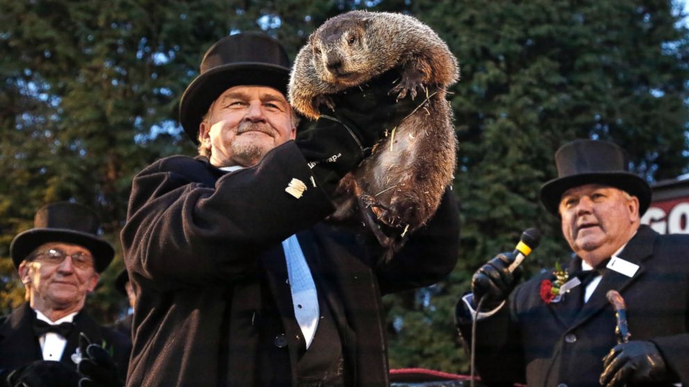 Punxsutawney Phil Predicts More Winter Video ABC News