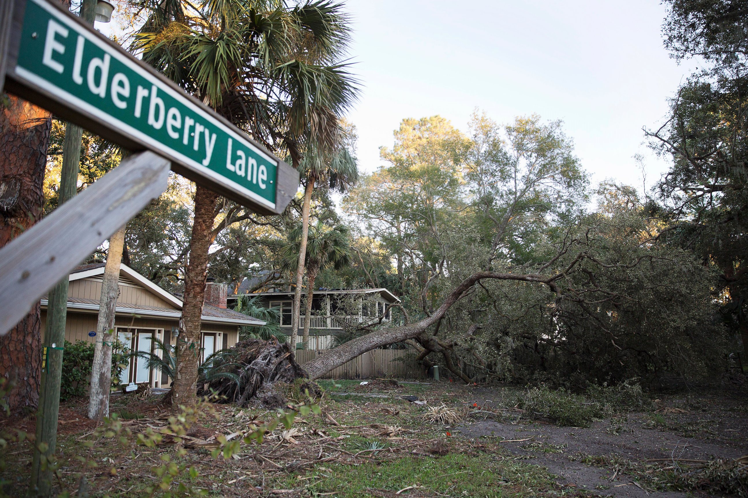 PHOTO: Damage from a fallen tree from Hurricane Matthew blocks a street in Hilton Head, S.C., Oct. 9, 2016.