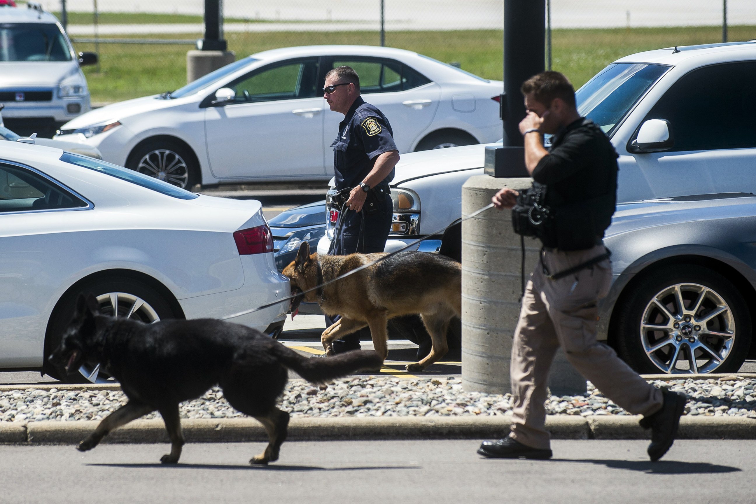 PHOTO: Police dogs search cars in a parking lot at Bishop International Airport, June 21, 2017, in Flint, Mich. 