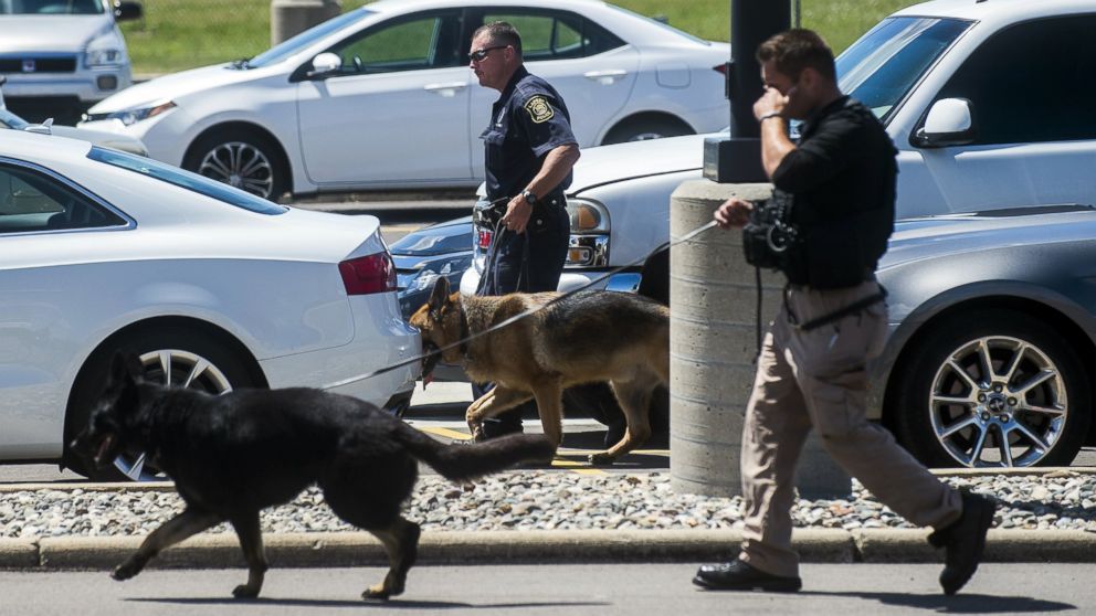Police dogs search cars in a parking lot at Bishop International Airport, June 21, 2017, in Flint, Mich.